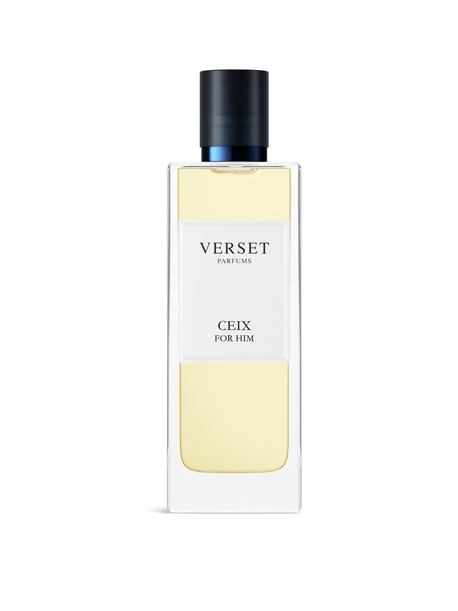 Copy of A_VVH16-CEI100.jpg